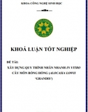 [Khóa luận tốt nghiệp] Xây dựng quy trình nhân nhanh in vitro cây môn rồng hồng