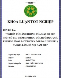 [Khóa luận tốt nghiệp] Nghiên cứu ảnh hưởng của mật độ đến một số đặc điểm sinh học của ruồi đục quả Phương Đông Bactrocera Dorsalis