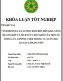 [Khóa luận tốt nghiệp] Ảnh hưởng của lượng đạm bón đến khả năng quang hợp và tích lũy chất khô của một số dòng lúa Japonica mới trong vụ xuân