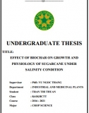 [Khóa luận tốt nghiệp] Effect of biochar on growth and physiology of sugarcane under salinity condition