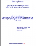 [Tiểu luận] Quyền được chăm sóc, nuôi dưỡng của trẻ em pháp luật một số quốc gia và kinh nghiệm cho việt nam