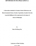 [Luận văn thạc sĩ] Identification of traits and QTLs contributing to salt tolerance in rice