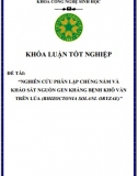 [Khoá luận tốt nghiệp] Nghiên cứu phân lập chủng nấm và khảo sát nguồn gen kháng bệnh khô vằn trên lúa (rhizoctonia solani. oryzae)