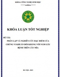 [Khoá luận tốt nghiệp] Phân lập và nghiên cứu đặc điểm của chủng vi khuẩn đối kháng với nấm gây bệnh trên cây mía