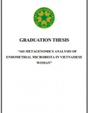 [Khóa luận tốt nghiệp] 16S metagenomics analysis of endometrial microbiota in Vietnamese woman