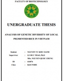 [Khóa luận tốt nghiệp] Analysis of genetic diversity of local pigmented rice in VietNam