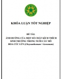 [Khóa luận tốt nghiệp] Ảnh hưởng của một số chất kích thích sinh trưởng trong nuôi cấy mô hoa Cúc lùn (Chrysanthemum x koreanum)