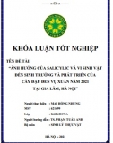 [Khoá luận tốt nghiệp] Ảnh hưởng của salicylic và vi sinh vật đến sinh trưởng và phát triển của cây đậu đen vụ xuân năm 2021 tại Gia Lâm - Hà Nội