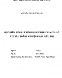 [Khoá luận tốt nghiệp] Đặc điểm bệnh lý bệnh do Escherichia coli ở vịt bầu trắng và biện pháp điều trị