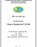 [Báo cáo thực tập] Công ty khoáng sản V STAR