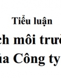 [Tiểu luận] Phân tích môi trường kinh doanh công ty Vinfast